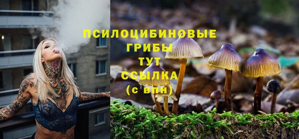 СК Алексеевка