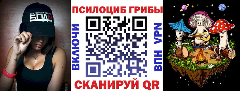 Купить где  Волхов  Галлюциногенные грибы мицелий 
